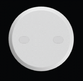 Round Plate